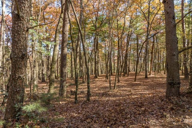 TR 1 Old Anderson Creek, Ellijay, GA 30536
