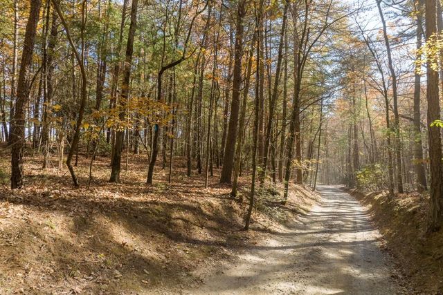 TR 1 Old Anderson Creek, Ellijay, GA 30536