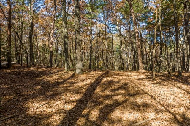 TR 1 Old Anderson Creek, Ellijay, GA 30536