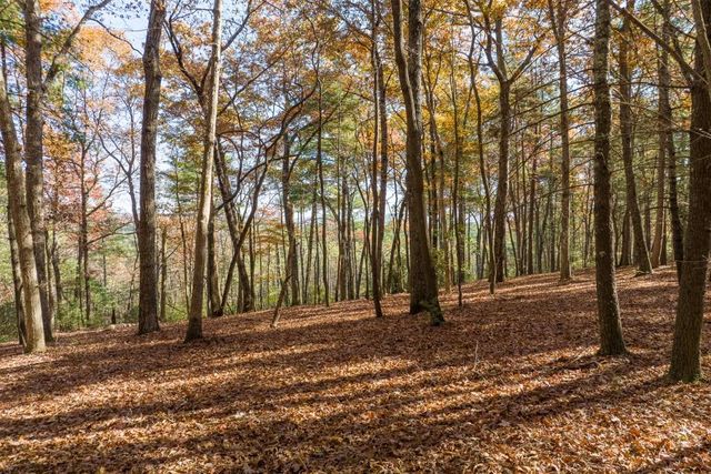 TR 1 Old Anderson Creek, Ellijay, GA 30536