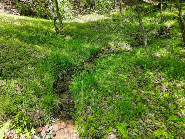 964 Walkabout Creek Road, Morganton, GA 30560