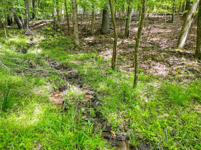 964 Walkabout Creek Road, Morganton, GA 30560