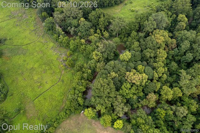 12792 Wells Road, London Township, MI 48160