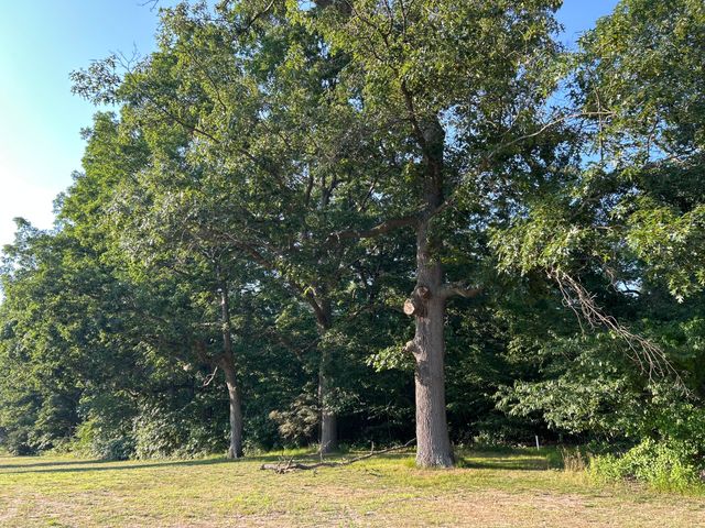 1 Lilac Lane, Grand Beach, MI 49117