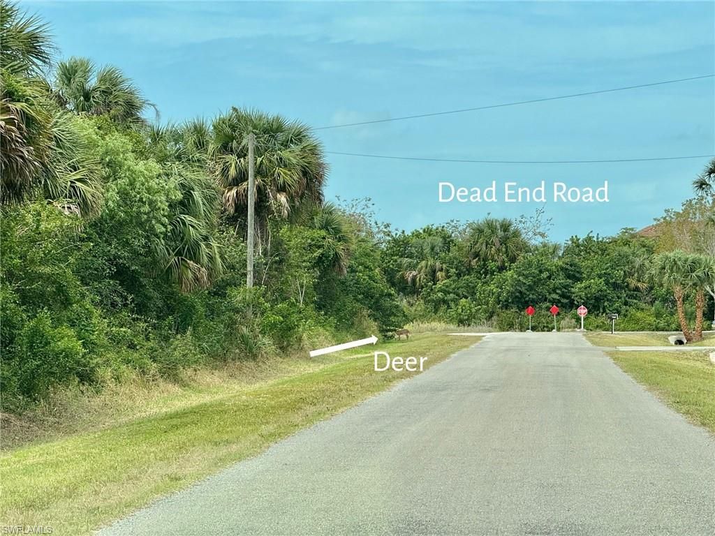 39th AVE NW, NAPLES, FL 34120 — photo 4