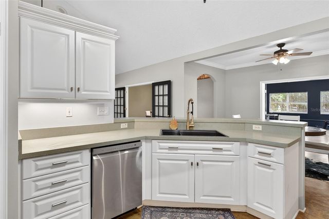 22301 CORONADO SOMERSET DRIVE, Sorrento, FL 32776