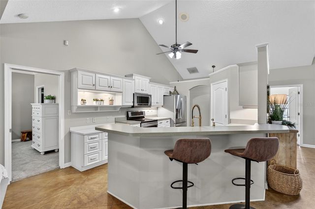 22301 CORONADO SOMERSET DRIVE, Sorrento, FL 32776