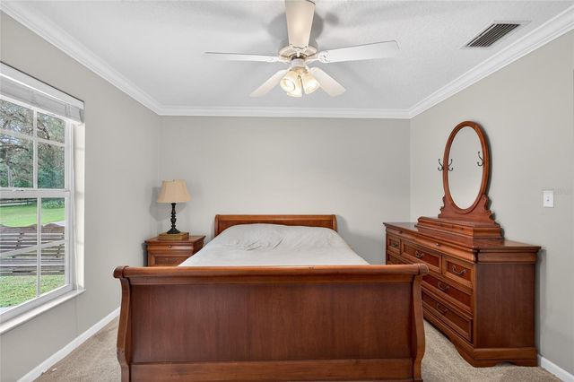 22301 CORONADO SOMERSET DRIVE, Sorrento, FL 32776