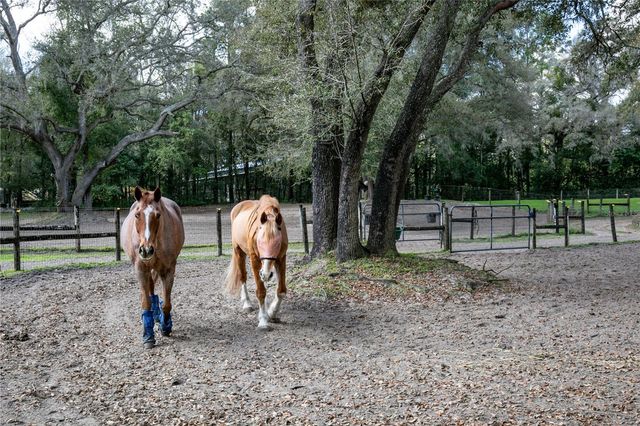 22301 CORONADO SOMERSET DRIVE, Sorrento, FL 32776