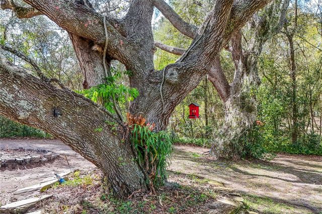 22301 CORONADO SOMERSET DRIVE, Sorrento, FL 32776