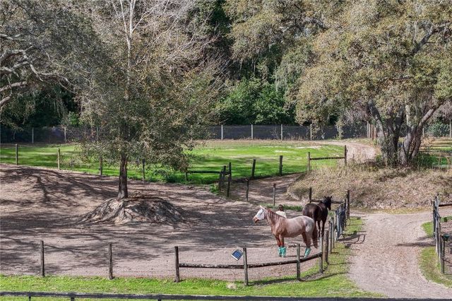 22301 CORONADO SOMERSET DRIVE, Sorrento, FL 32776