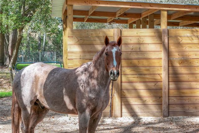 22301 CORONADO SOMERSET DRIVE, Sorrento, FL 32776