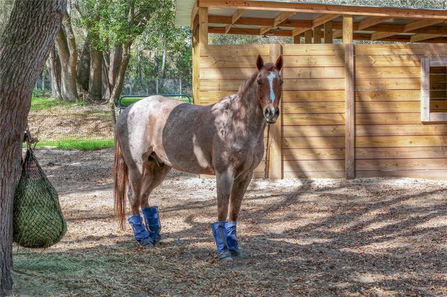 22301 CORONADO SOMERSET DRIVE, Sorrento, FL 32776