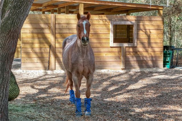 22301 CORONADO SOMERSET DRIVE, Sorrento, FL 32776