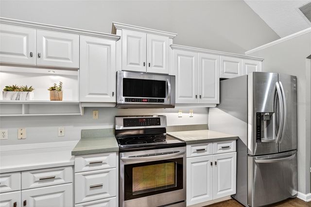 22301 CORONADO SOMERSET DRIVE, Sorrento, FL 32776