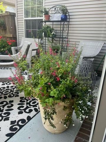 4700 Orlando Court, Lexington, KY 40515