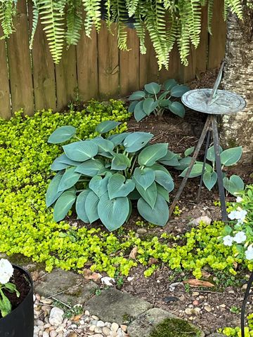 4700 Orlando Court, Lexington, KY 40515