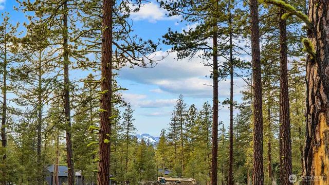 113 Wanawish Loop, Cle Elum, WA 98922