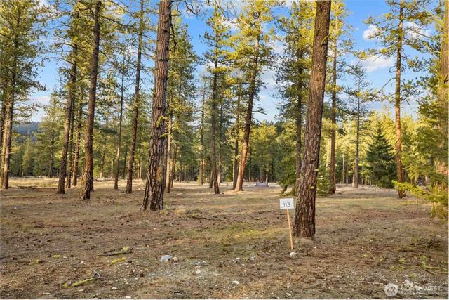113 Wanawish Loop, Cle Elum, WA 98922