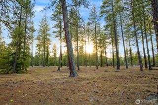 113 Wanawish Loop, Cle Elum, WA 98922