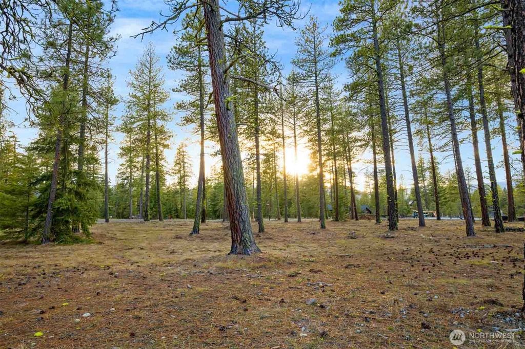 113 Wanawish Loop, Cle Elum, WA 98922