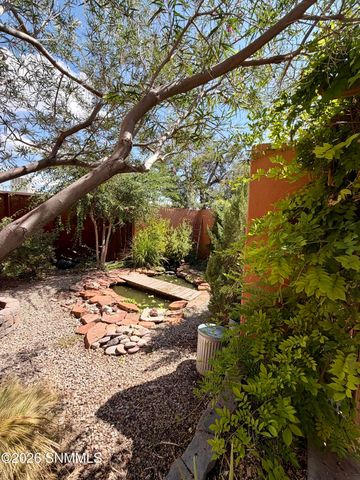 955 S Melendres Street, Las Cruces, NM 88005