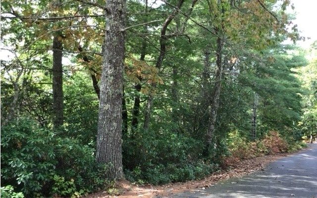 lot 18 Shelton Springs Drive, Hayesville, NC 28904
