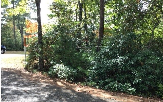 lot 18 Shelton Springs Drive, Hayesville, NC 28904