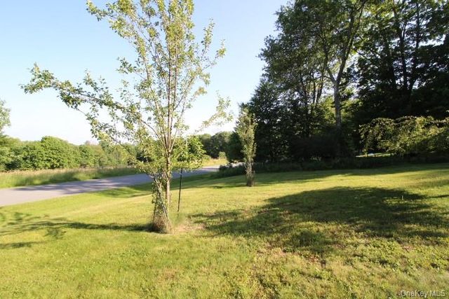 545 Stump Pond Road, Livingston Manor, NY 12758