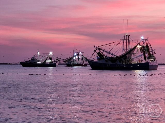 40 Captains View, Tybee Island, GA 31328