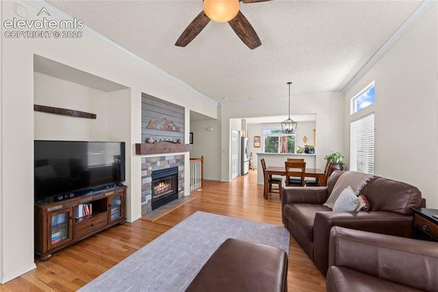 4755 Timber Wolf Trail, Colorado Springs, CO 80920