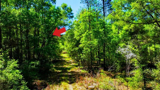 TBD SW 24TH PLACE, Ocala, FL 34481