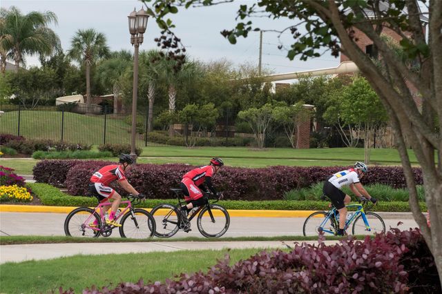 1707 Sterling Water Drive, Missouri City, TX 77459