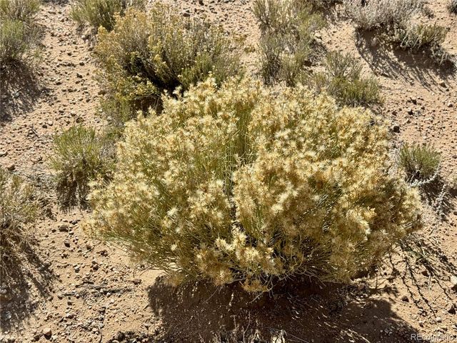 lot 7 County X Road, Blanca, CO 81123