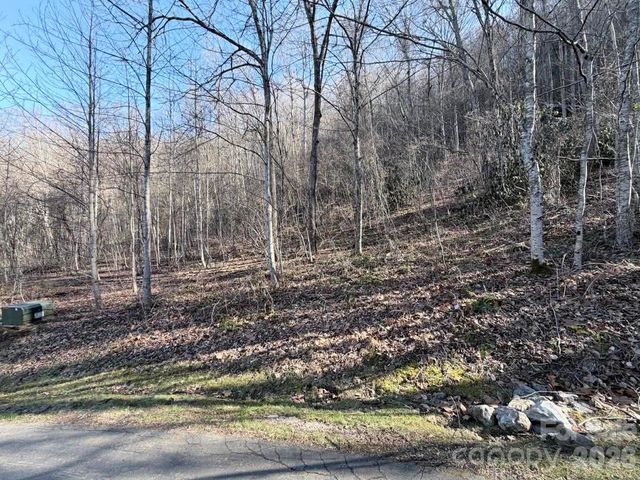 76 View Ridge Parkway 7, Leicester, NC 28748