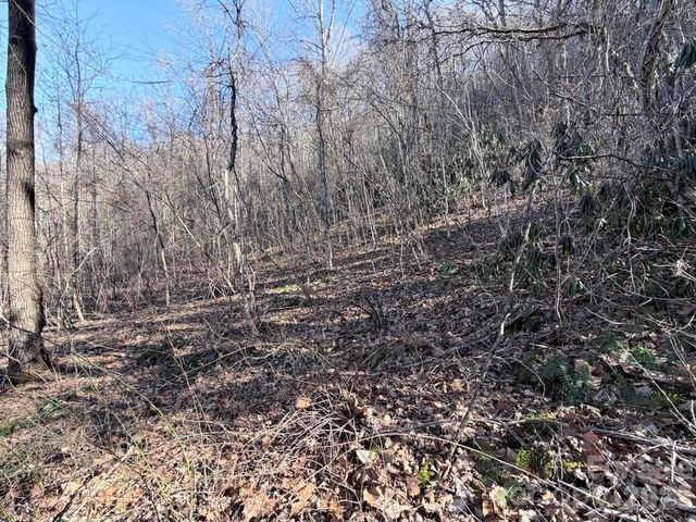 76 View Ridge Parkway 7, Leicester, NC 28748