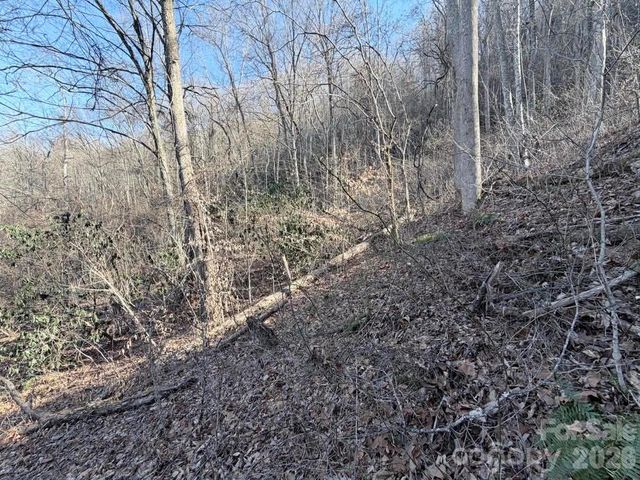 76 View Ridge Parkway 7, Leicester, NC 28748