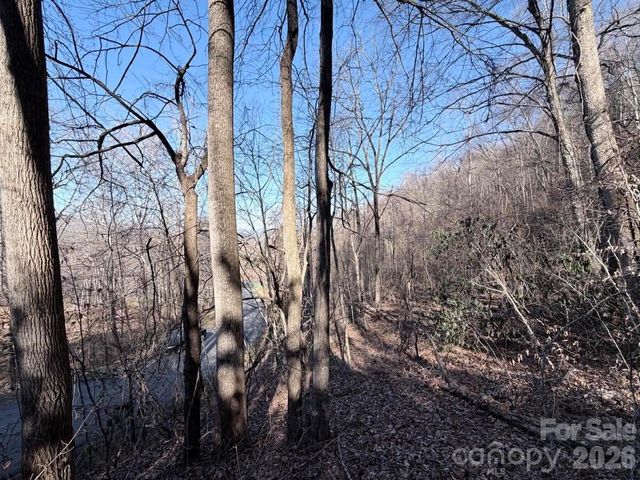 76 View Ridge Parkway 7, Leicester, NC 28748