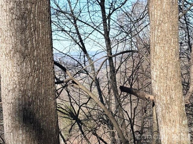 76 View Ridge Parkway 7, Leicester, NC 28748