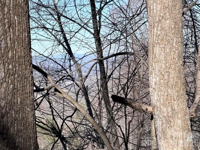 76 View Ridge Parkway 7, Leicester, NC 28748