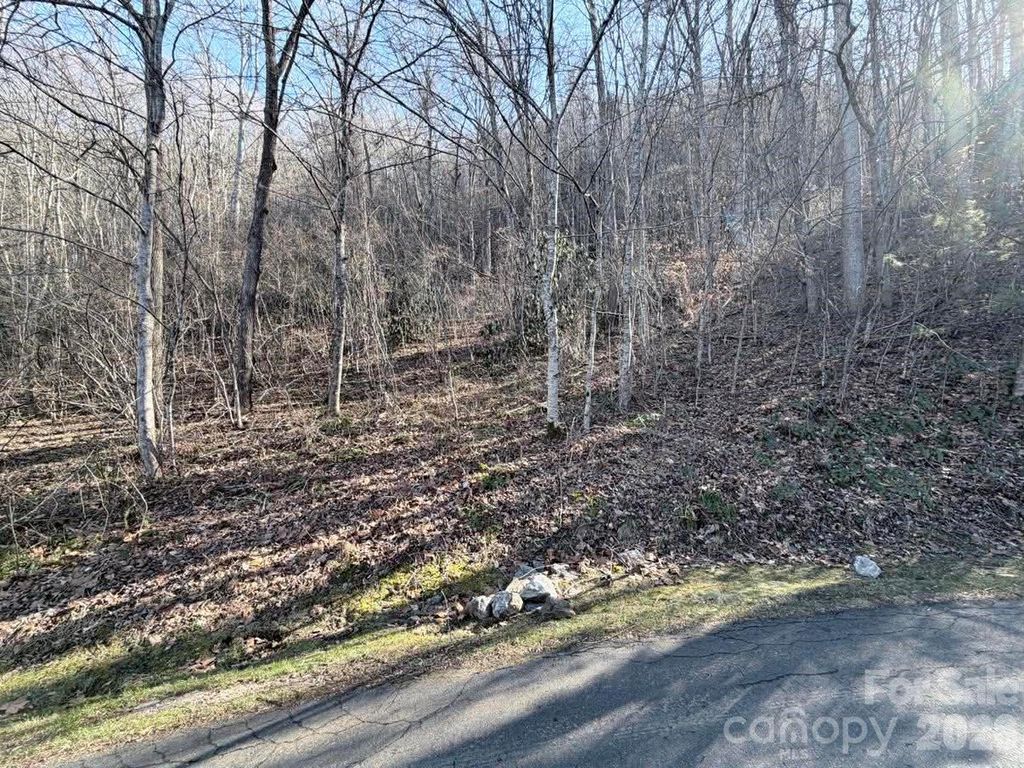 76 View Ridge Parkway 7, Leicester, NC 28748