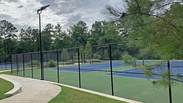 149 Hickory Forest Court, Willis, TX 77318