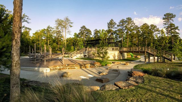 149 Hickory Forest Court, Willis, TX 77318