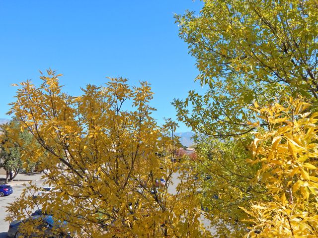 3857 Montgomery Boulevard NE APT 1234, Albuquerque, NM 87109