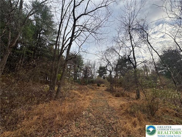 Moyer, Springfield Twp, PA 18055