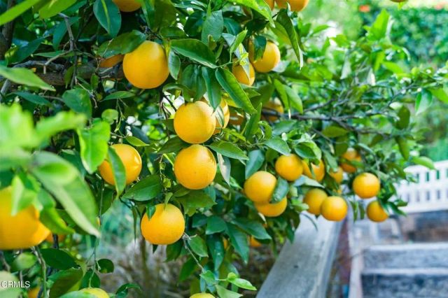 1639 San Rafael Way, Camarillo, CA 93012