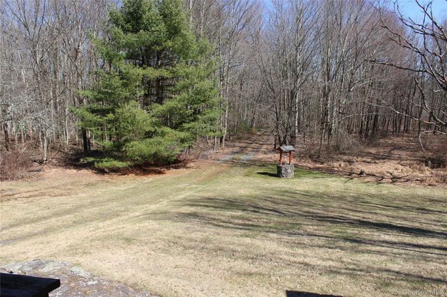 154 Britman Road, Mongaup Valley, NY 12762