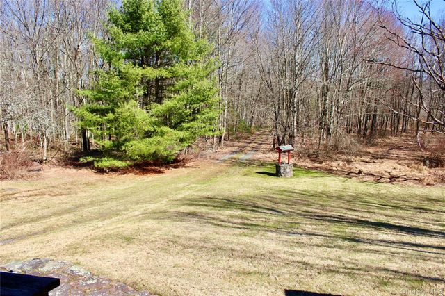 154 Britman Road, Mongaup Valley, NY 12762