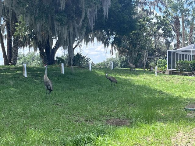 1209 N TIMUCUAN TRAIL, Inverness, FL 34453