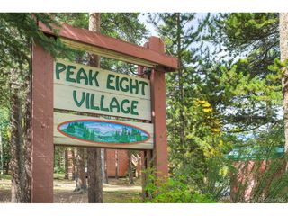 1080 Ski Hill Rd 9, Breckenridge, CO 80424